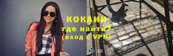 амф Новозыбков