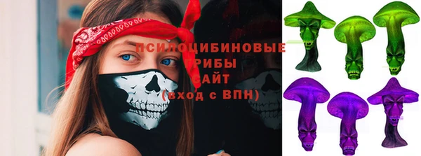 амф Новозыбков
