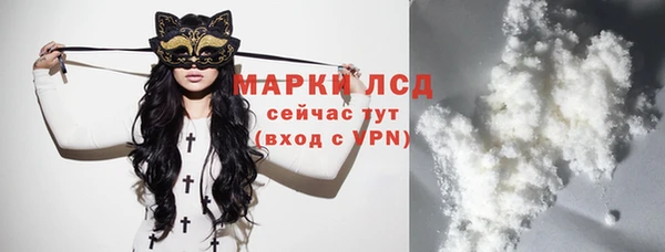амф Новозыбков