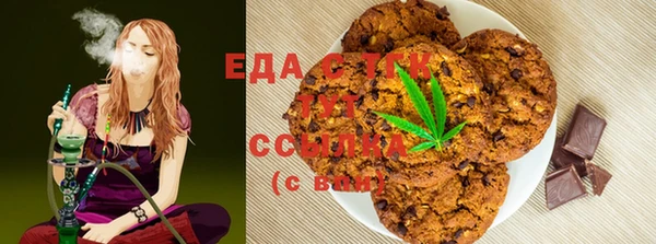 амф Новозыбков