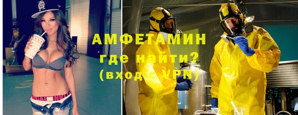 амф Новозыбков