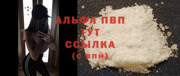 амф Новозыбков
